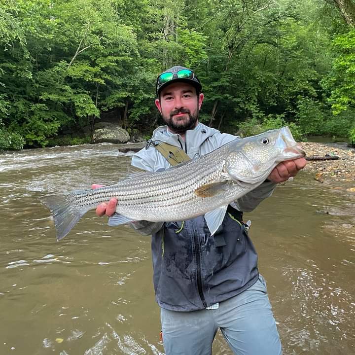 STRIPERS & BIG GAME FISH